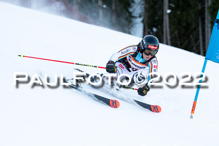 FIS Riesenslalom, ATA, Damen + Herren, 14.02.2022