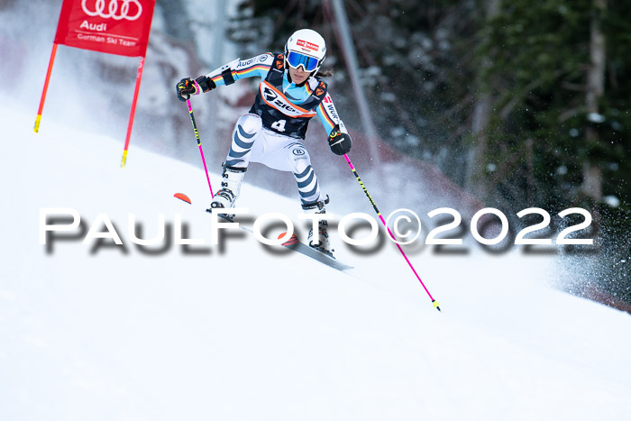 FIS Riesenslalom, ATA, Damen + Herren, 14.02.2022
