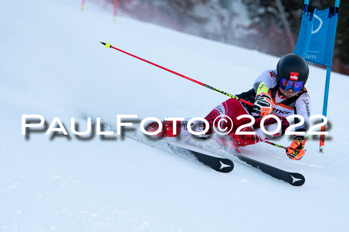 FIS Riesenslalom, ATA, Damen + Herren, 14.02.2022