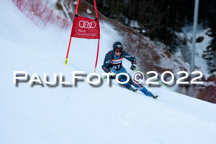 FIS Riesenslalom, ATA, Damen + Herren, 14.02.2022