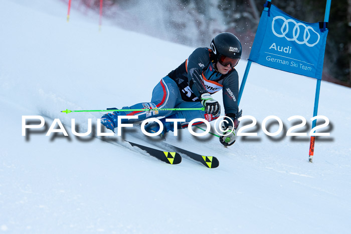 FIS Riesenslalom, ATA, Damen + Herren, 14.02.2022