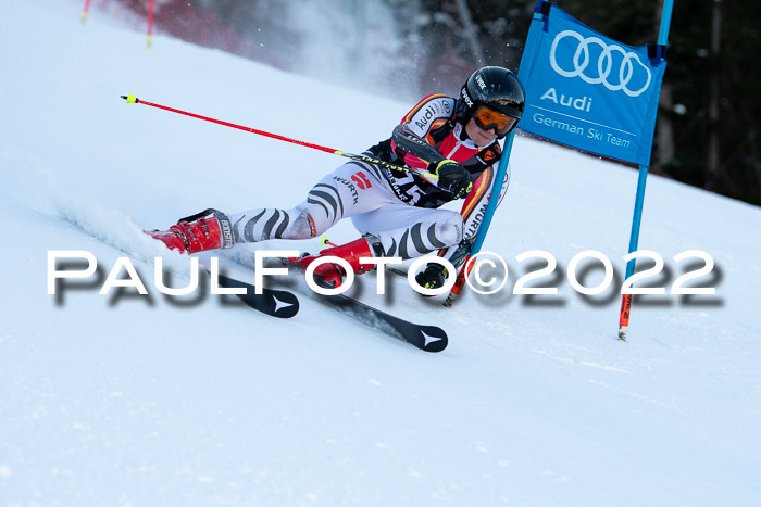 FIS Riesenslalom, ATA, Damen + Herren, 14.02.2022