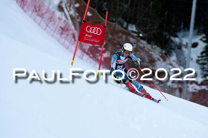 FIS Riesenslalom, ATA, Damen + Herren, 14.02.2022