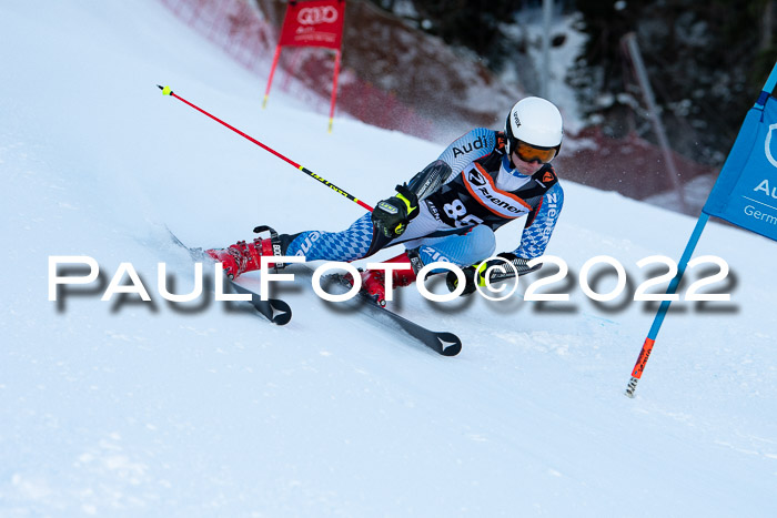 FIS Riesenslalom, ATA, Damen + Herren, 14.02.2022