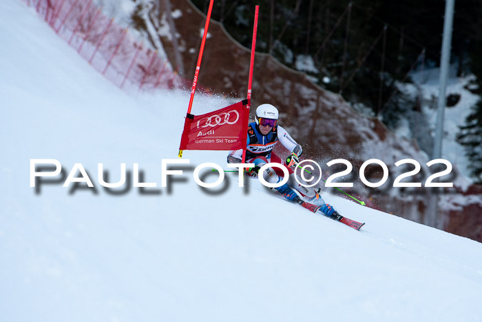FIS Riesenslalom, ATA, Damen + Herren, 14.02.2022