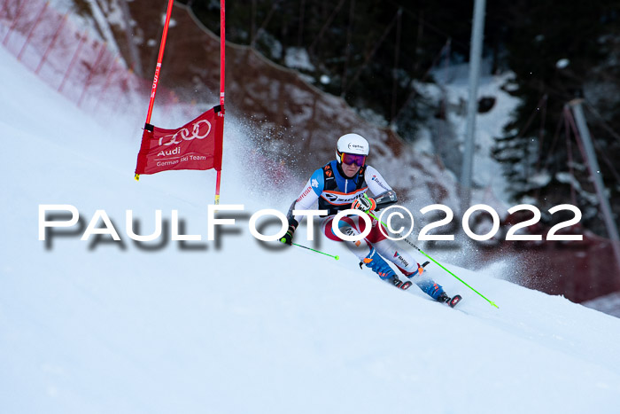 FIS Riesenslalom, ATA, Damen + Herren, 14.02.2022