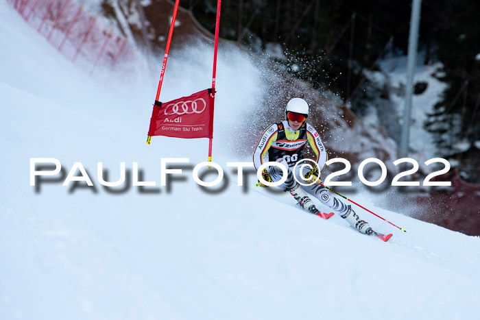 FIS Riesenslalom, ATA, Damen + Herren, 14.02.2022