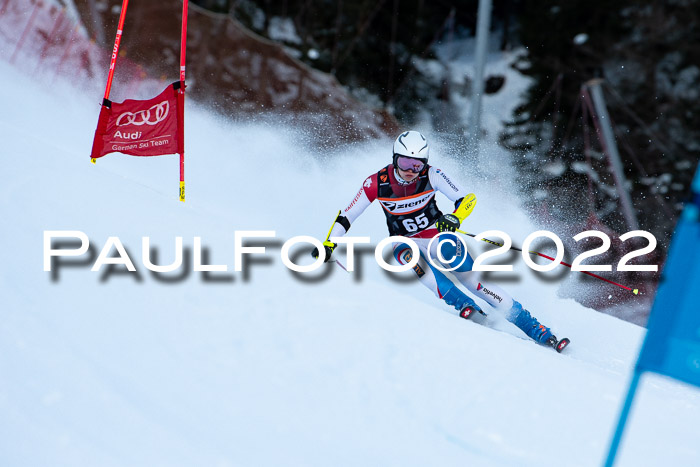 FIS Riesenslalom, ATA, Damen + Herren, 14.02.2022