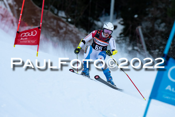 FIS Riesenslalom, ATA, Damen + Herren, 14.02.2022