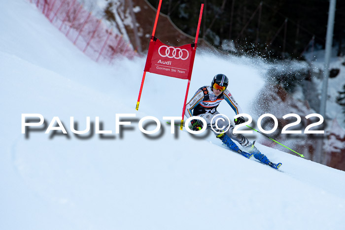 FIS Riesenslalom, ATA, Damen + Herren, 14.02.2022