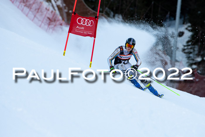 FIS Riesenslalom, ATA, Damen + Herren, 14.02.2022
