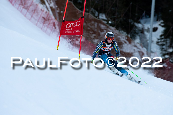 FIS Riesenslalom, ATA, Damen + Herren, 14.02.2022