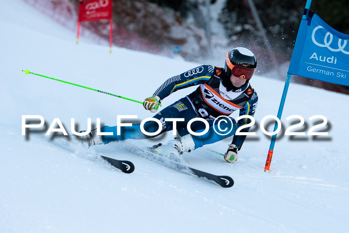 FIS Riesenslalom, ATA, Damen + Herren, 14.02.2022