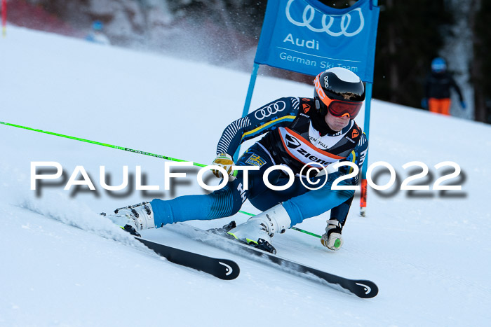 FIS Riesenslalom, ATA, Damen + Herren, 14.02.2022