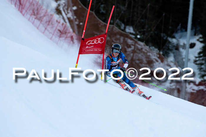 FIS Riesenslalom, ATA, Damen + Herren, 14.02.2022