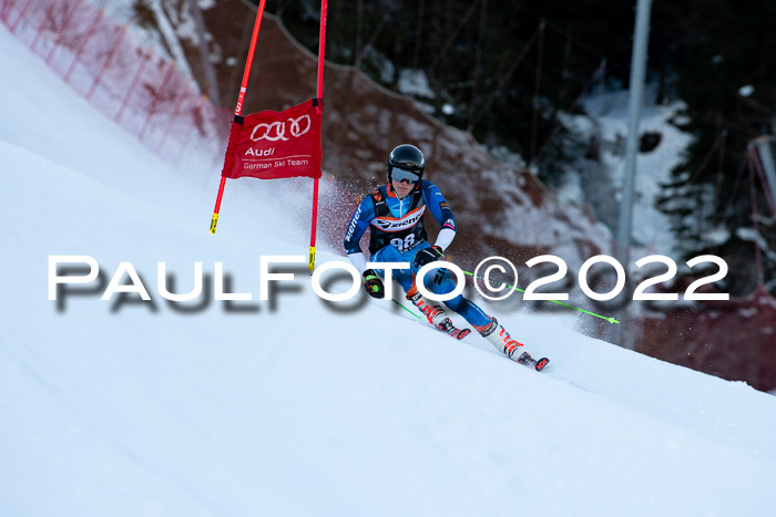 FIS Riesenslalom, ATA, Damen + Herren, 14.02.2022