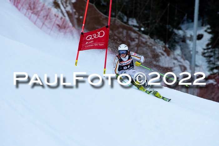 FIS Riesenslalom, ATA, Damen + Herren, 14.02.2022