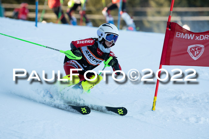 1.  Zienercup U12 Skigau Werdenfels 15.01.2022