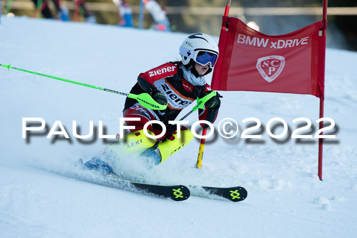 1.  Zienercup U12 Skigau Werdenfels 15.01.2022