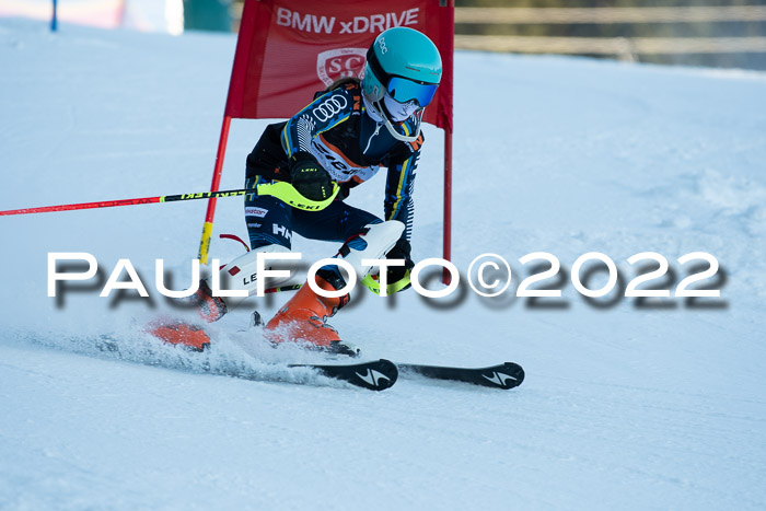 1.  Zienercup U12 Skigau Werdenfels 15.01.2022