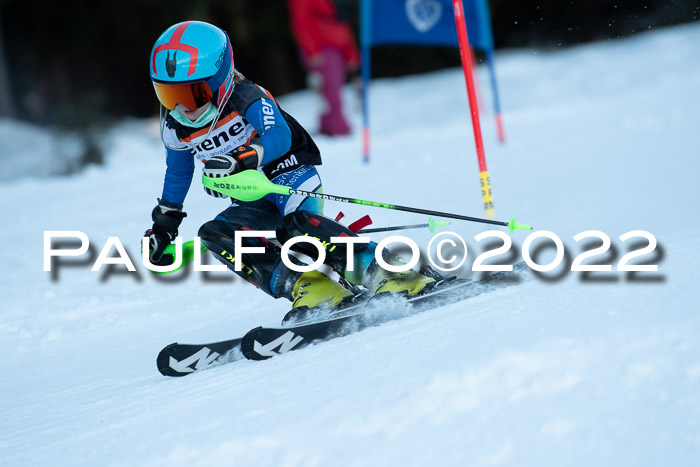 1.  Zienercup U12 Skigau Werdenfels 15.01.2022