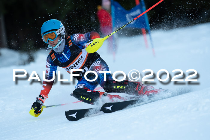 1.  Zienercup U12 Skigau Werdenfels 15.01.2022