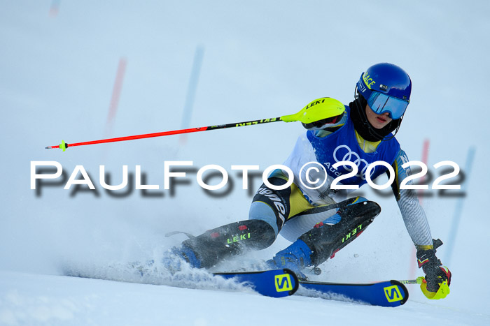 FIS Slalom Damen + Herren, ATA, 16.01.2022