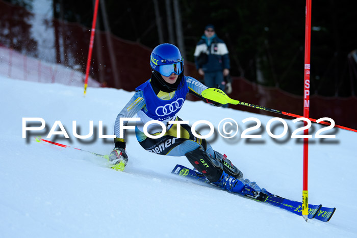 FIS Slalom Damen + Herren, ATA, 16.01.2022