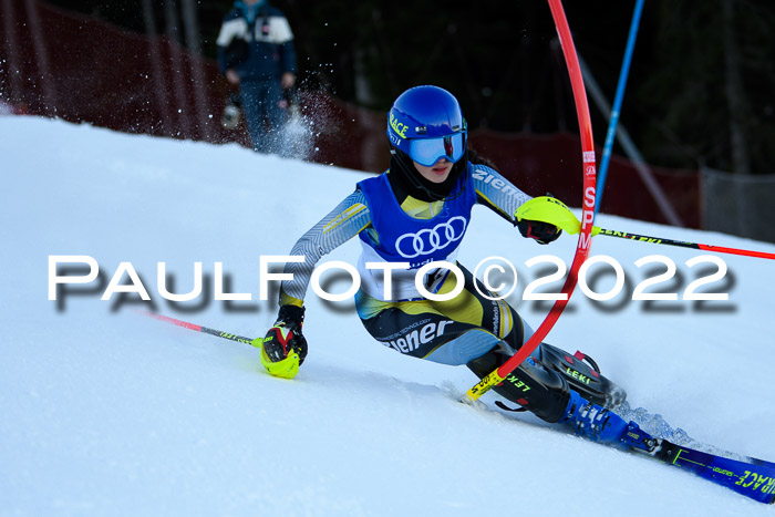 FIS Slalom Damen + Herren, ATA, 16.01.2022