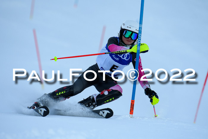 FIS Slalom Damen + Herren, ATA, 16.01.2022