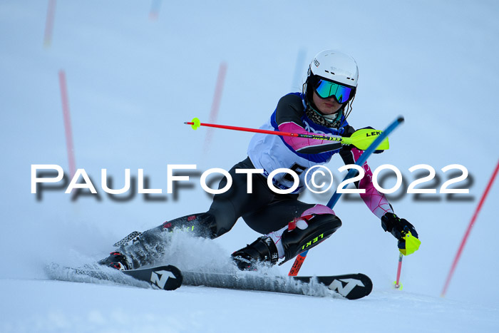 FIS Slalom Damen + Herren, ATA, 16.01.2022