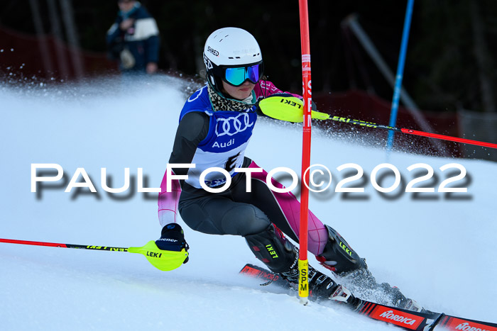 FIS Slalom Damen + Herren, ATA, 16.01.2022