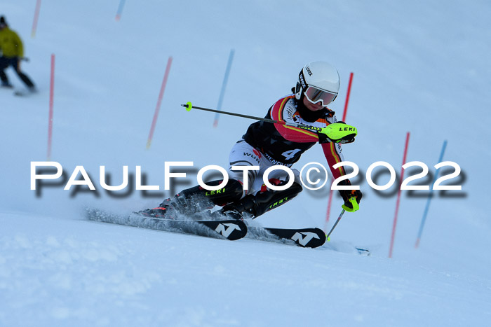 FIS Slalom Damen + Herren, ATA, 16.01.2022