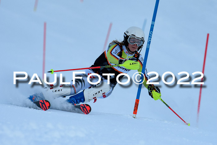 FIS Slalom Damen + Herren, ATA, 16.01.2022