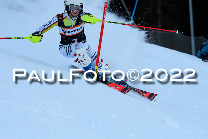 FIS Slalom Damen + Herren, ATA, 16.01.2022