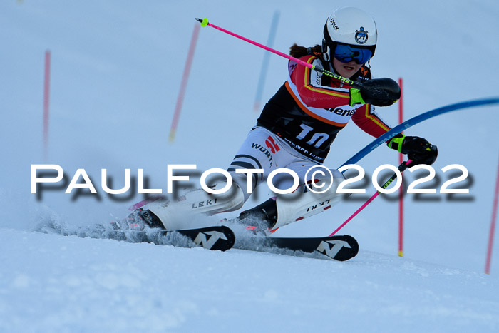 FIS Slalom Damen + Herren, ATA, 16.01.2022