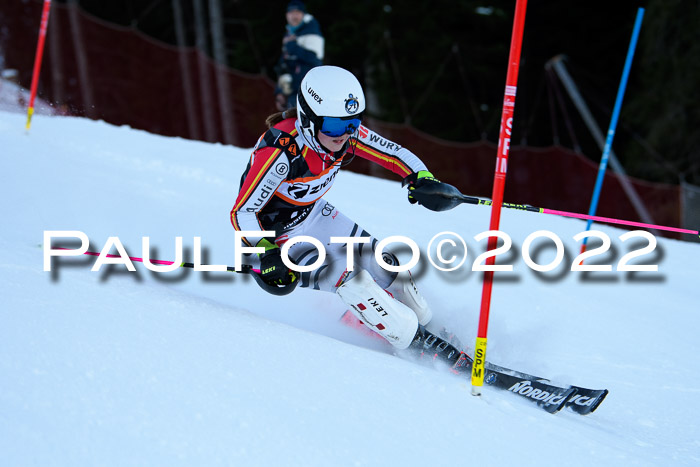 FIS Slalom Damen + Herren, ATA, 16.01.2022