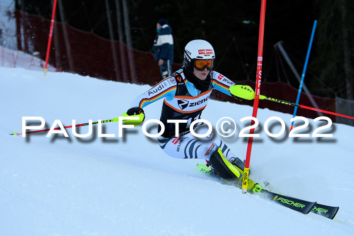 FIS Slalom Damen + Herren, ATA, 16.01.2022