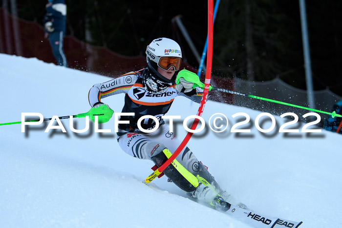 FIS Slalom Damen + Herren, ATA, 16.01.2022