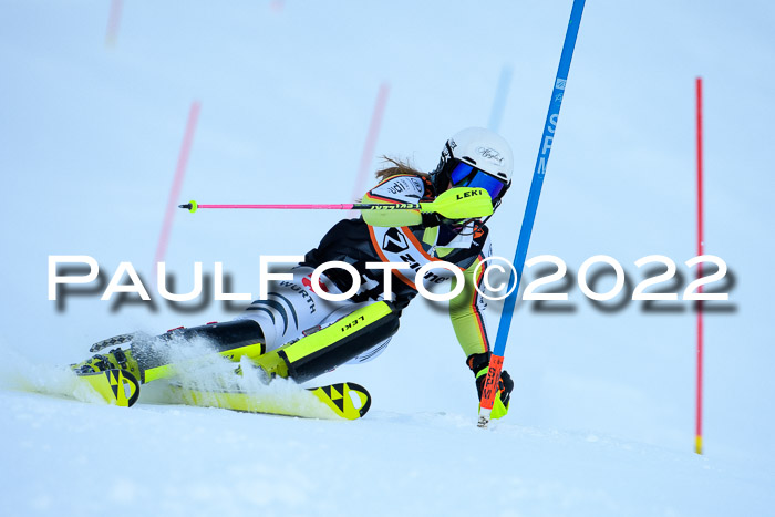 FIS Slalom Damen + Herren, ATA, 16.01.2022