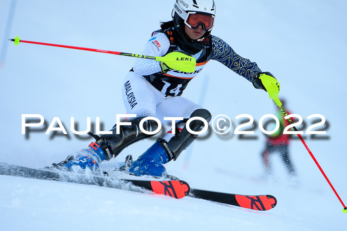 FIS Slalom Damen + Herren, ATA, 16.01.2022