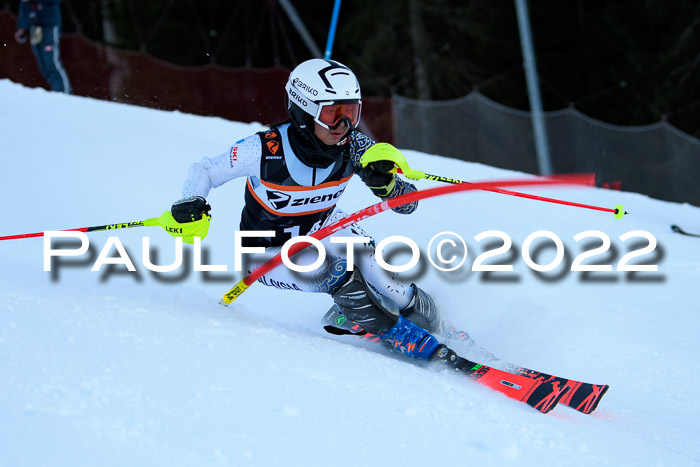 FIS Slalom Damen + Herren, ATA, 16.01.2022