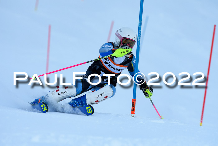 FIS Slalom Damen + Herren, ATA, 16.01.2022