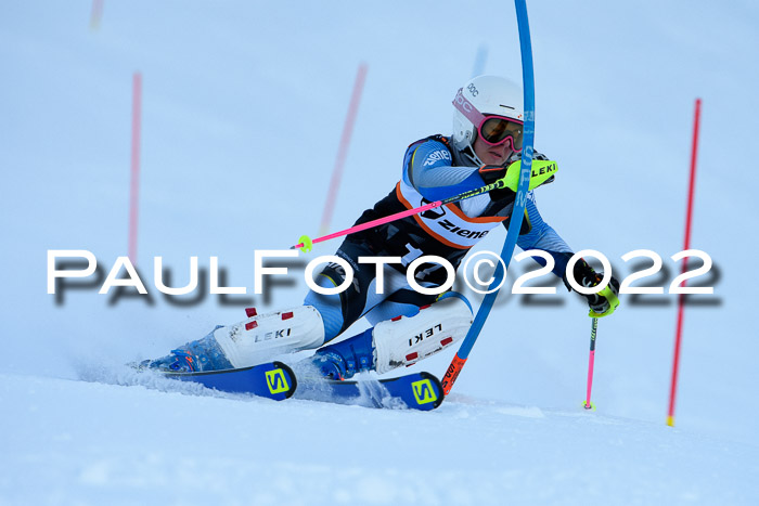 FIS Slalom Damen + Herren, ATA, 16.01.2022