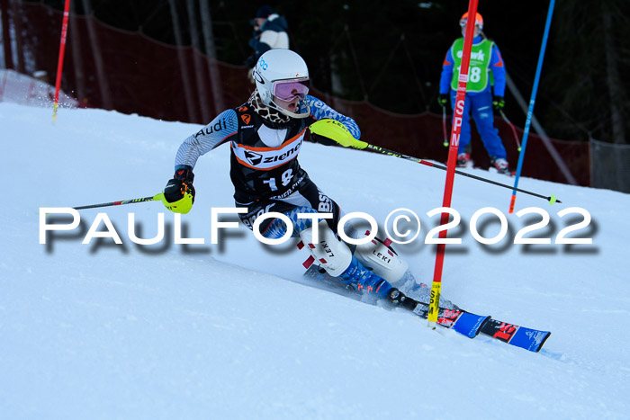 FIS Slalom Damen + Herren, ATA, 16.01.2022