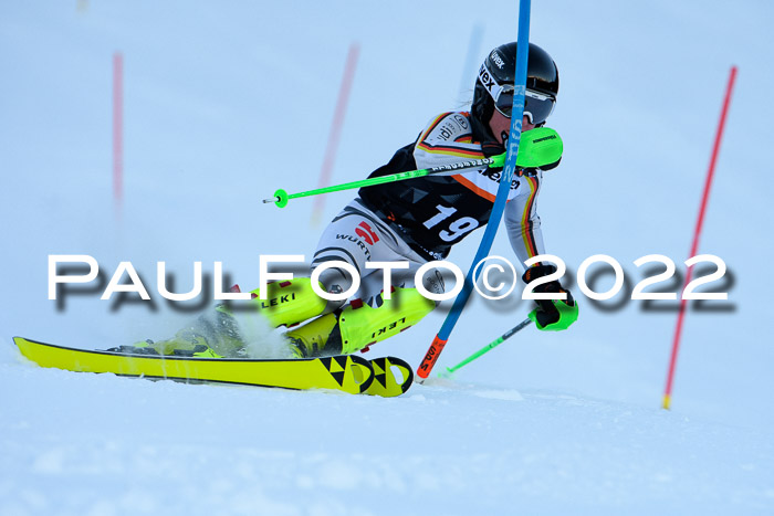 FIS Slalom Damen + Herren, ATA, 16.01.2022