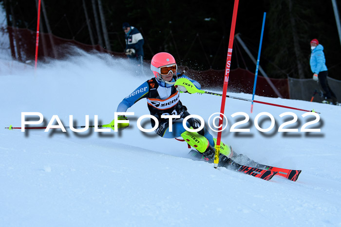 FIS Slalom Damen + Herren, ATA, 16.01.2022