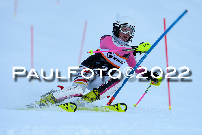 FIS Slalom Damen + Herren, ATA, 16.01.2022