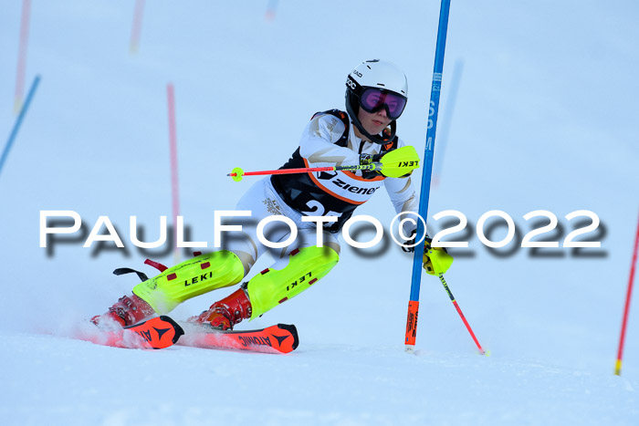 FIS Slalom Damen + Herren, ATA, 16.01.2022