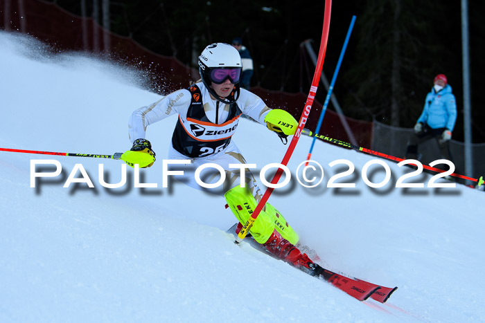 FIS Slalom Damen + Herren, ATA, 16.01.2022